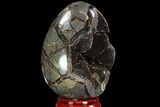 Septarian Dragon Egg Geode - Black Crystals #98852-2